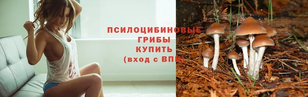 ГАЛЛЮЦИНОГЕННЫЕ ГРИБЫ Абаза