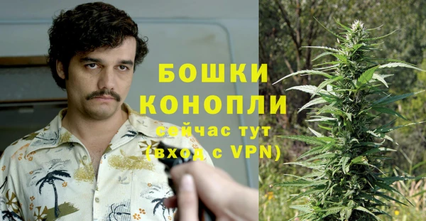 ГАЛЛЮЦИНОГЕННЫЕ ГРИБЫ Абаза